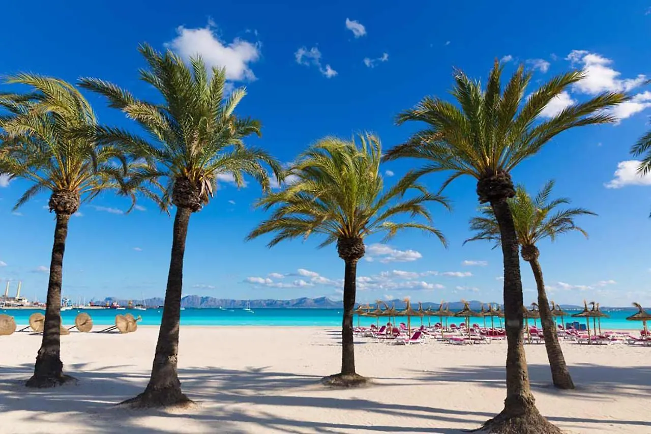 Apartment Alcudia Magic Port de Alcudia  İspanya